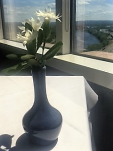 A Couple in the Kitchen: Taste of Hartford at ON20