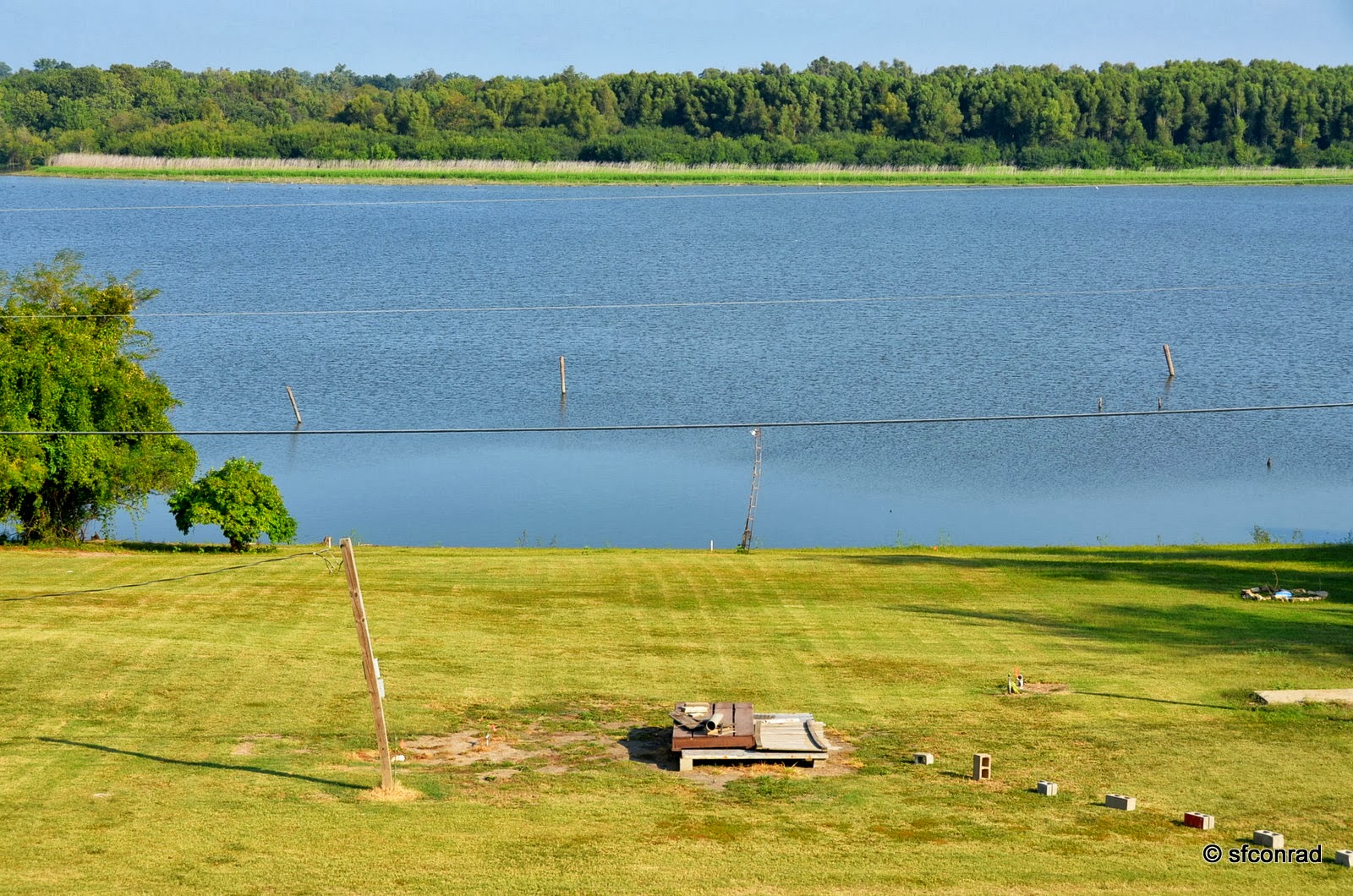 PUPPY PATHS RVing FullTime Catching Up!! + Beulah Lake, Aunt