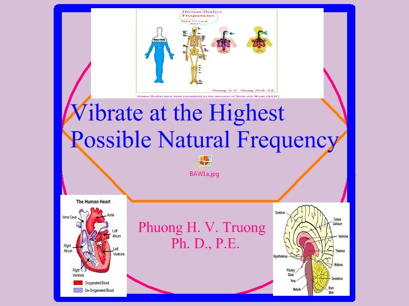 Natural Frequency of Human Body