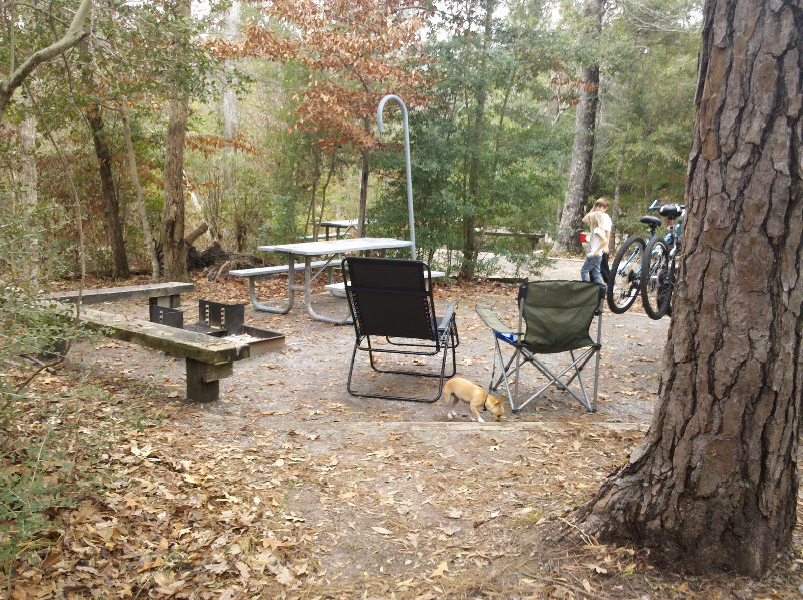 Campsite / Lake / Historical Site Reviews Texas Village Creek State Park