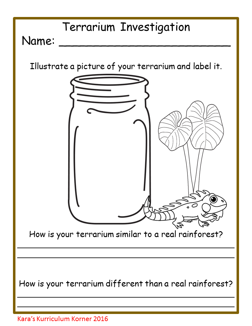 Create Your Balance With Literacy