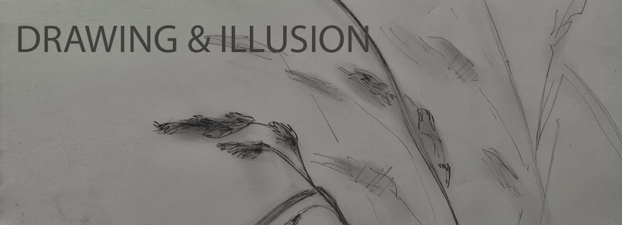Drawing and Illusion