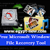 تشجع أداة استرداد مستندات Microsoft Windows المجانية على استرداد المعلومات تشجع أداة استرداد مستندات Microsoft Windows المجانية على استرداد المعلومات