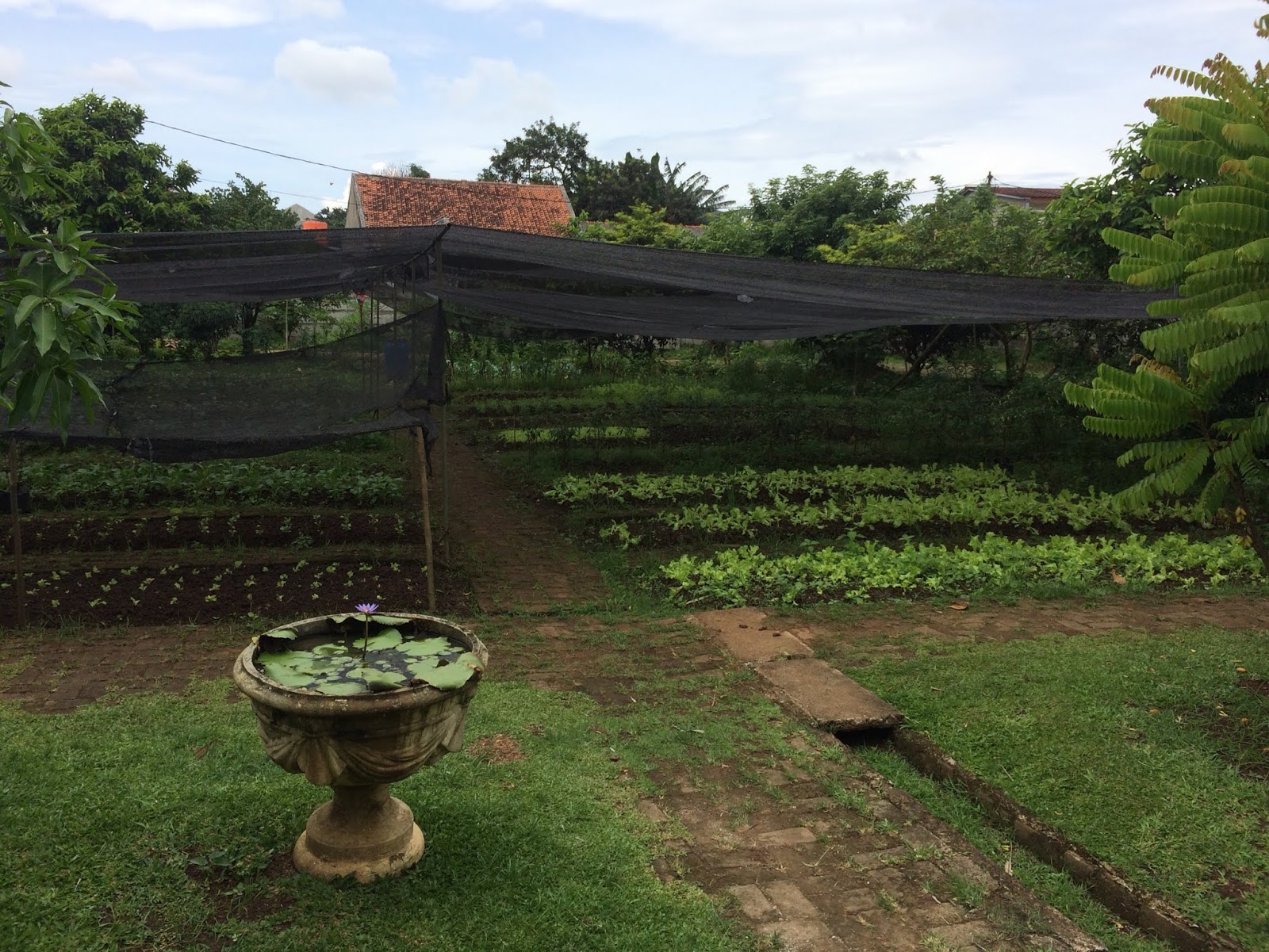 Bothanmada 4 Yathyndaki Cocudun Psikolojisi