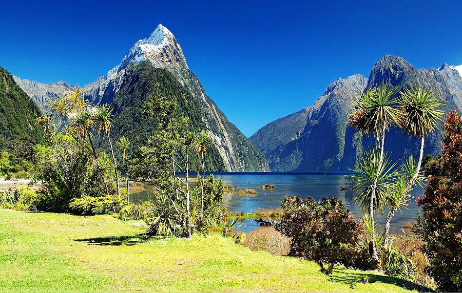 Milford Sound, New Zealand - The New Zealand’s Most Stunning Natural Attraction With Pure Natural Beauty