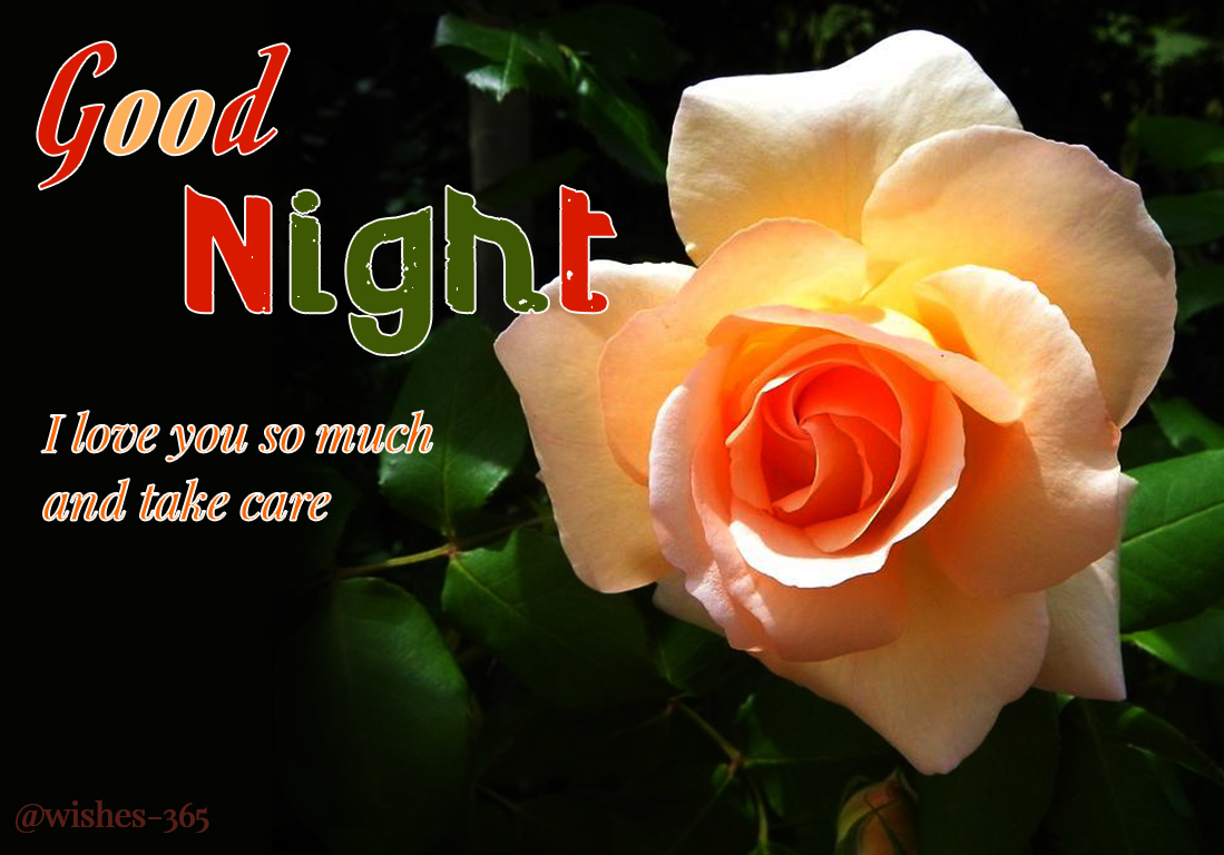 видео wishes. эльвира дарморезова. Good. Your wish video. надпись best wishes for you.