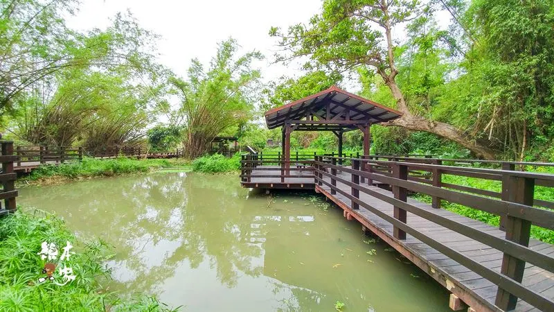 小琉球IG景點|竹林生態濕地公園|碧雲寺~有日本嵐山竹林的fu