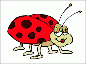 Ladybug Me