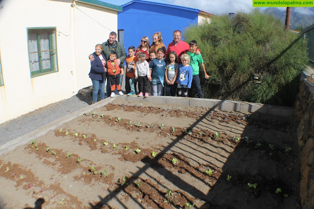 El Ayuntamiento de El Paso crea nuevos huertos escolares para acercar la Educación Ambiental a todos los centros educativos del municipio