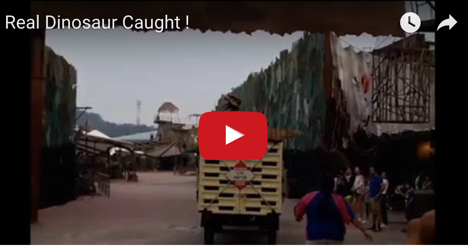 Real Dinosaur Caught !