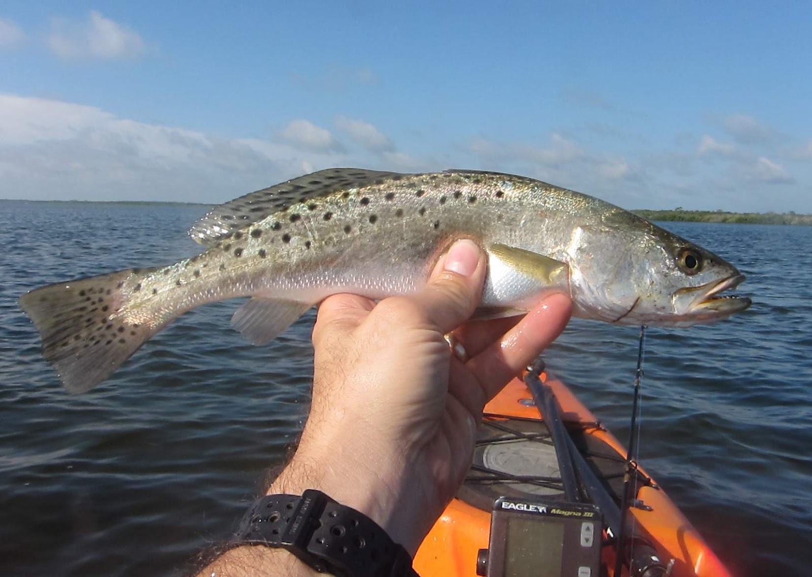 Kayak Angling for Big Fish N. Indian River Lagoon Fishing Report 6212