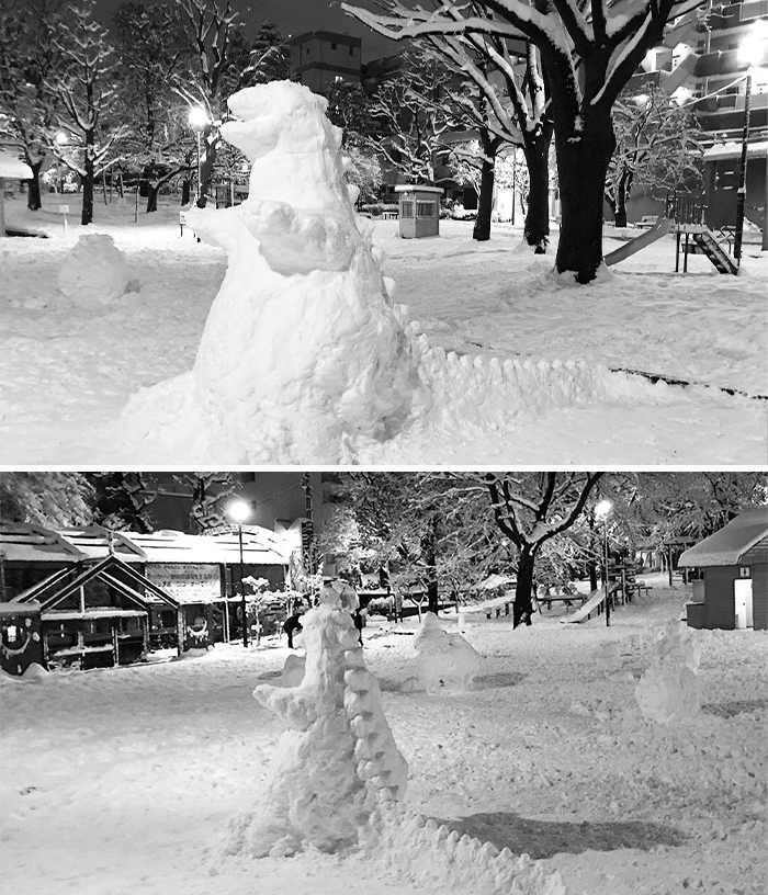 Mesmerizing Pictures Show How Heavy Snowfall In Japan Made People Creative