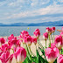 TRAVEL: weekend di relax a Lazise, sul Lago di Garda