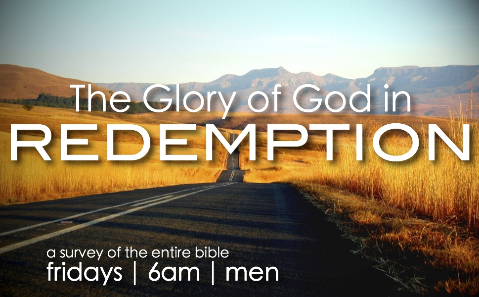 The glory of God in redemption. The gospel of grace in every book of