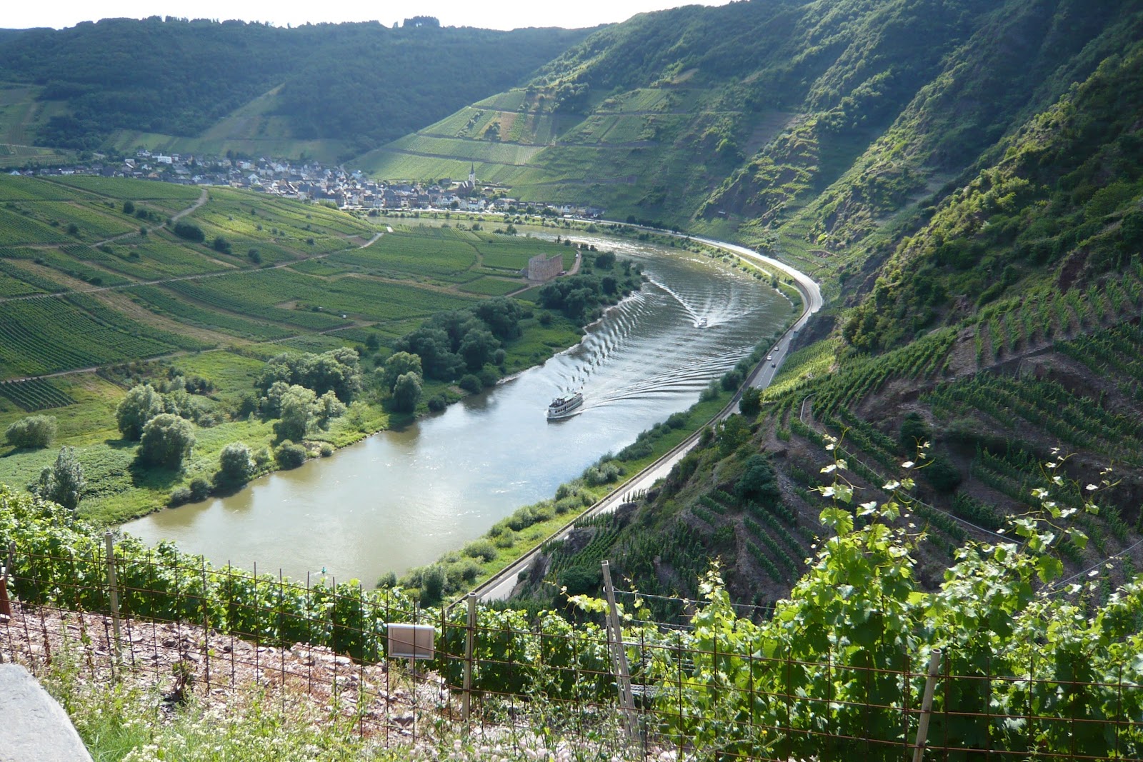 Mandagoras World Der Calmont