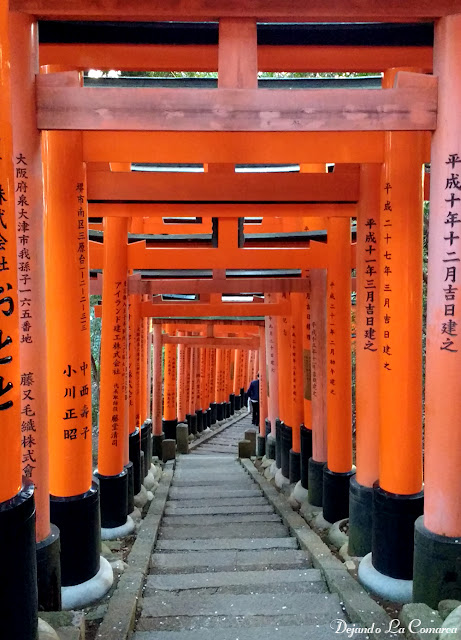 Día 13 - Kyoto (transformación en maiko - Fushimi Inari) - Japón primavera 2016 - 18 días (con bajo presupuesto) (27)