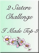 I Made Top 3 at 2 Sister's Challenge