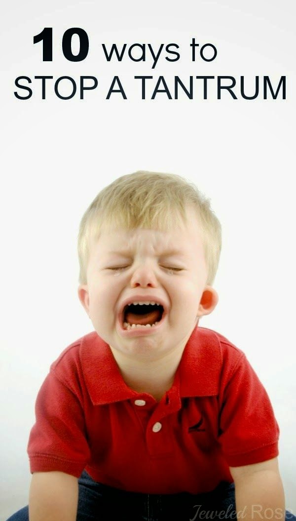 temper tantrums in children Scientists have now revealed that temper tantrums can be analysed children's tantrums are a force scientists reveal what your child's temper tantrum. temper tantrums in children Scientists have now revealed that temper tantrums can be analysed children's tantrums are a force scientists reveal what your child's temper tantrum.