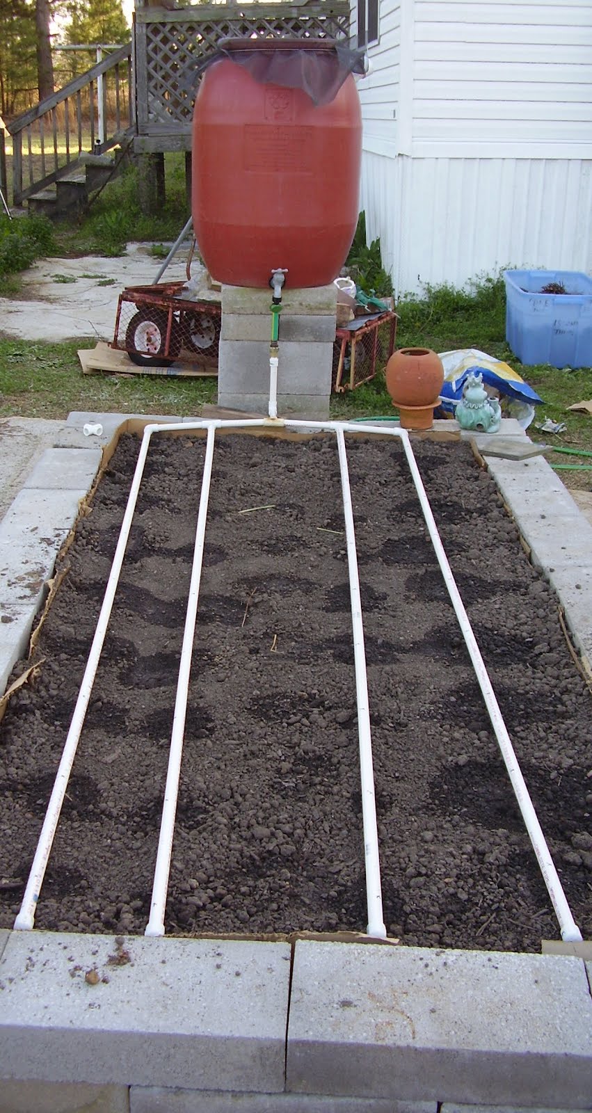 Low Rent Renaissance Drip Irrigation Experiment 2