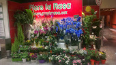 Flors La Rasa