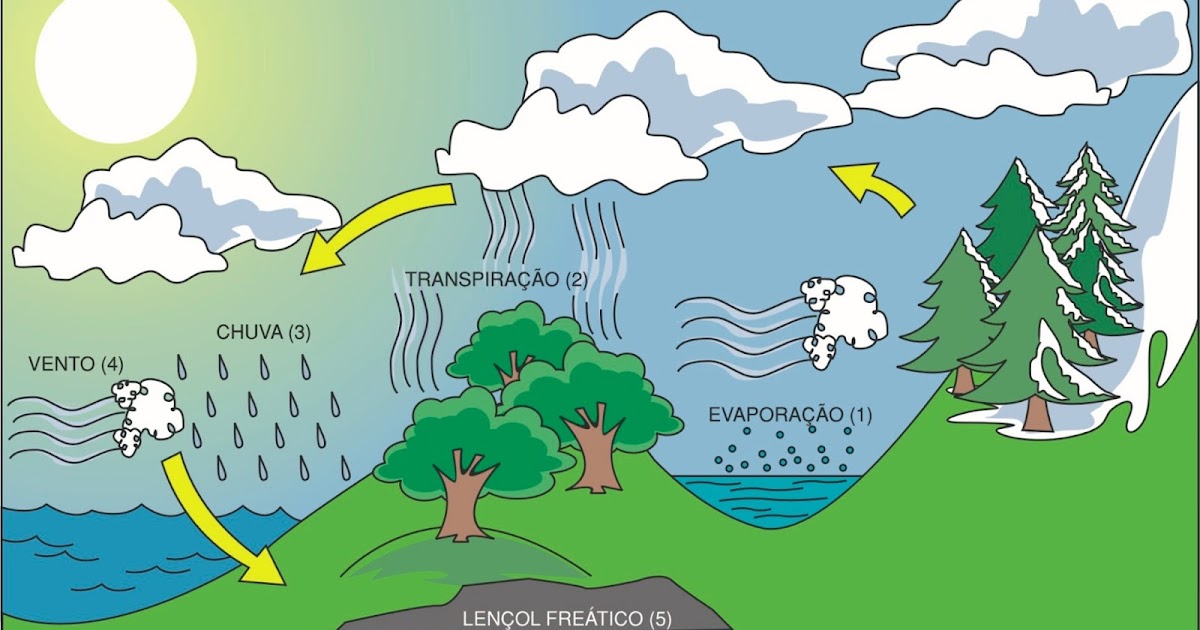 Educação Coletiva: Ciclo da água