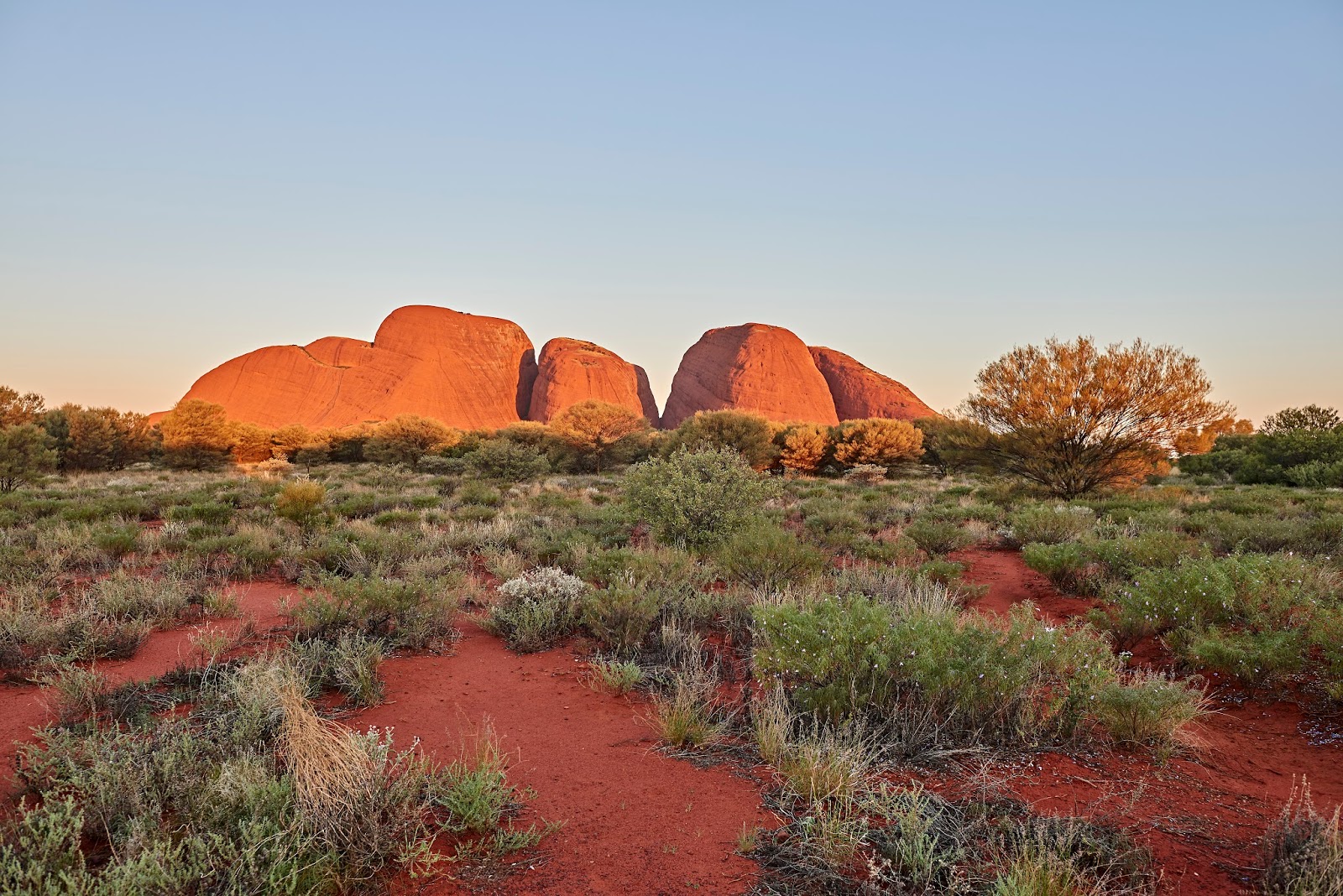 Gambar Kata Tjuta (The Olgas) di Matahari Terbenam