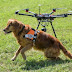 Drones help Swiss rescue dogs find the missing
