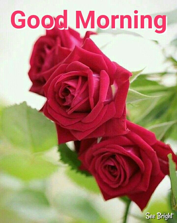 good morning messages for special someone