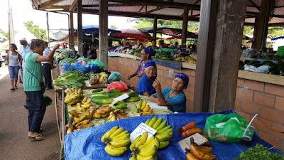 Lieux à visiter en Guyane : Marché de Cacao