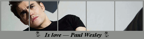 http://2.bp.blogspot.com/-PwVqS2c9oJs/Ue7e0FDNmkI/AAAAAAAAAP0/BWv5WrgY3P0/s1600/+Paul+Wesleyjpg.gif
