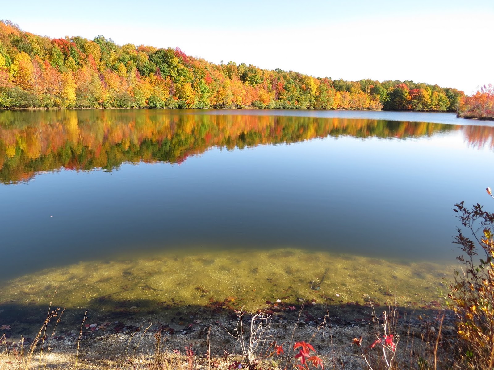 Princeton Nature Notes Resplendent Fall Colors at Plainsboro Preserve