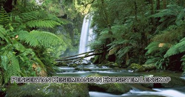 Pengertian Keseimbangan Ekosistem Lengkap Portal Media Informasi Seputar Ilmu