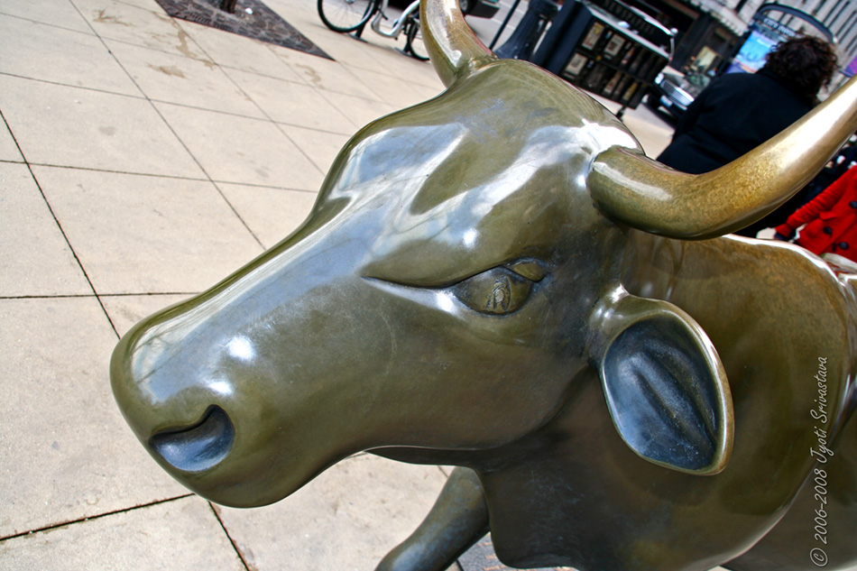 Public Art in Chicago Loop [Bronze Cow