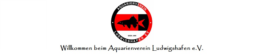 Aquarienverein Ludwigshafen am Rhein e.V.