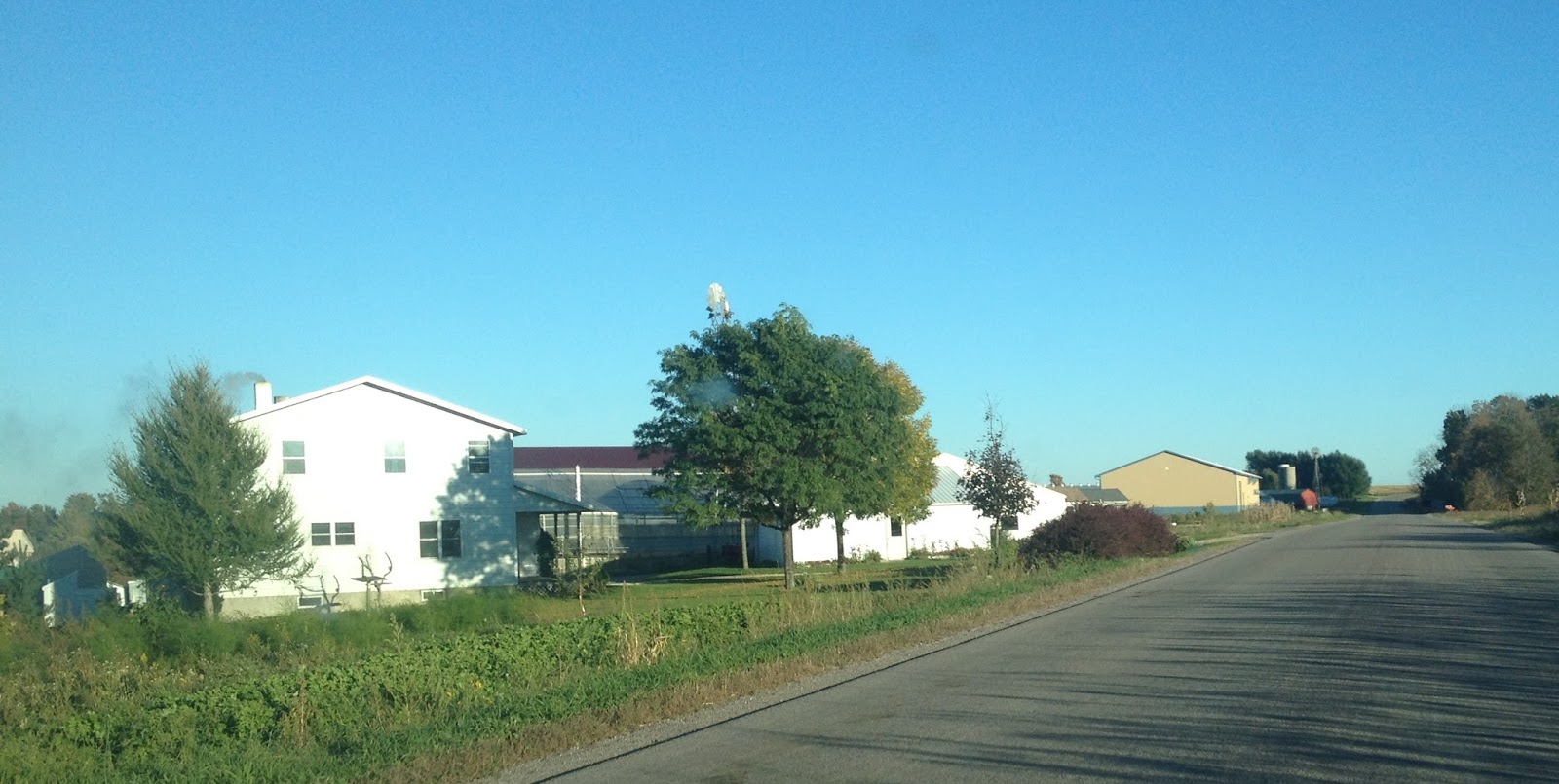 Amish Horses Amish Tour of Wisconsin