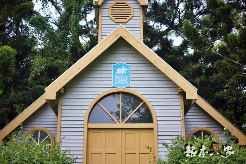 苗栗婚紗IG打卡景點|教堂廣場-飛牛牧場|寬敞露營營地設有盥洗區烤肉區好便利