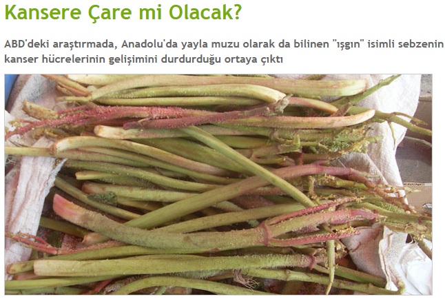 Isgin Rubes Yayla Muzu Community Facebook