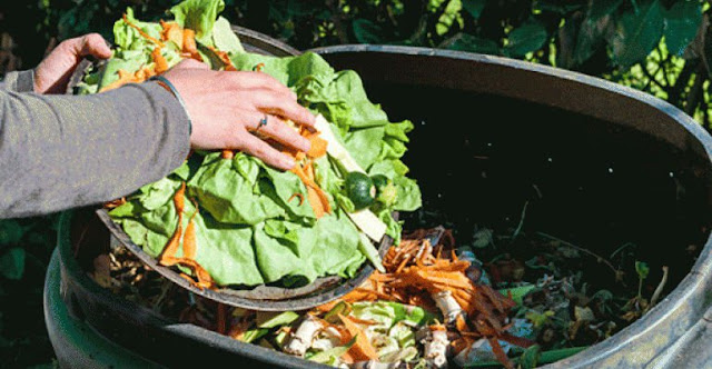 Beragam Olahan Limbah Organik, Sangat Bermanfaat Beragam Olahan Limbah Organik, Sangat Bermanfaat