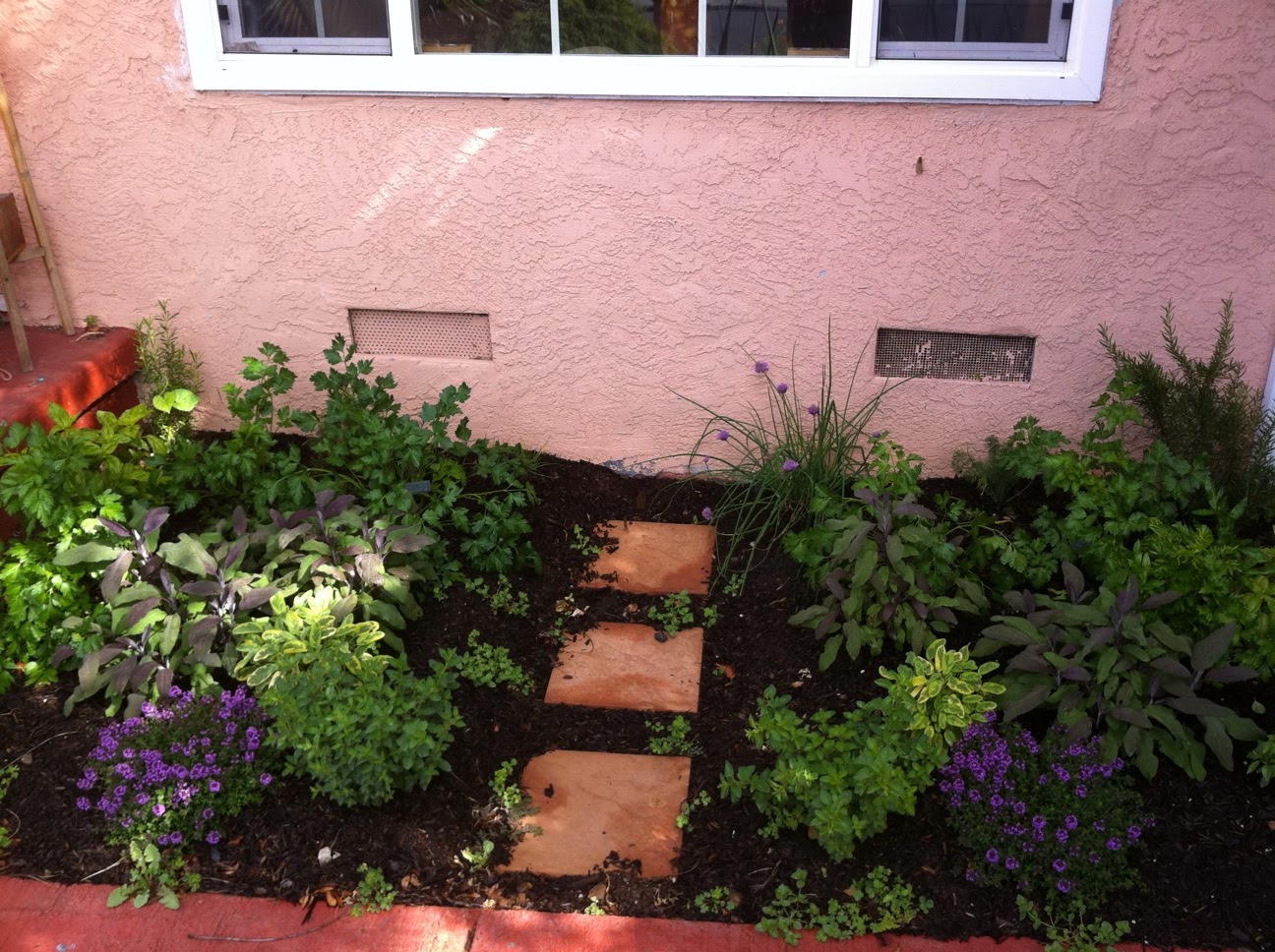Robin's Nest Herb Garden Revisited