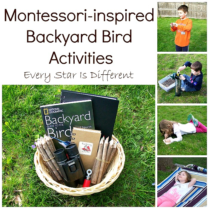 Montessori Backyard Bird Activities