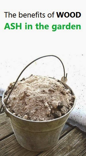 The Benefits Of WOOD ASH In The Garden The Benefits Of WOOD ASH In The Garden