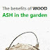 Alternative Gardening