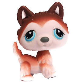 Littlest Pet Shop Small Playset Husky (#68) Pet