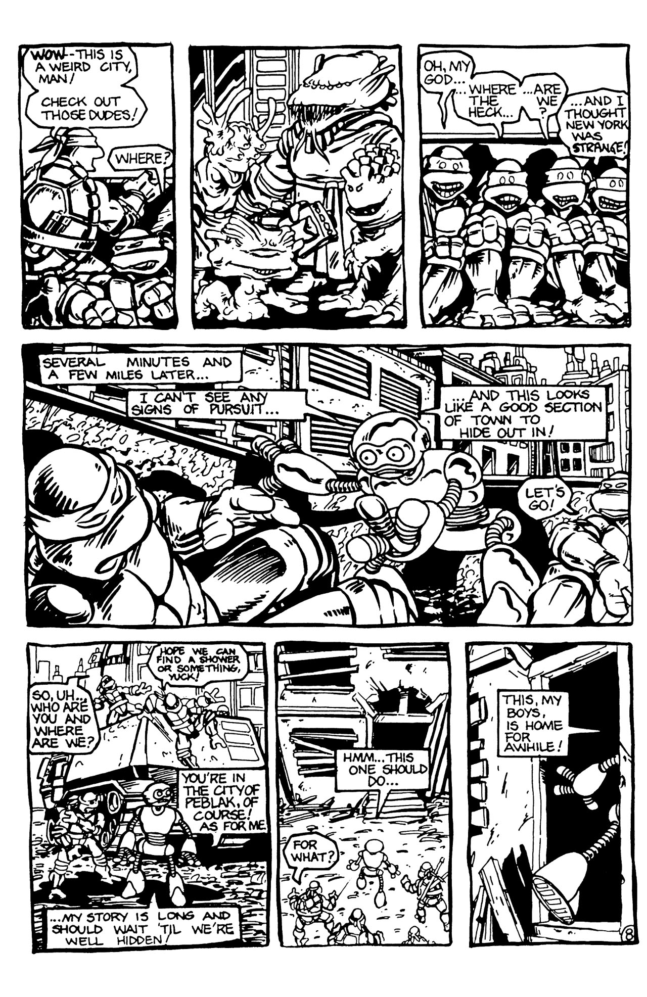 Read online Teenage Mutant Ninja Turtles (1984) comic -  Issue #5 - 10