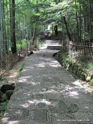 Huanshan - Yellow Mountains