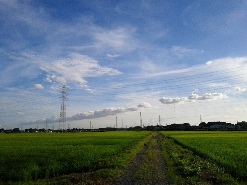 雲と鉄塔