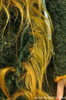 PAKAIAN DARIPADA RAMBUT MANUSIA