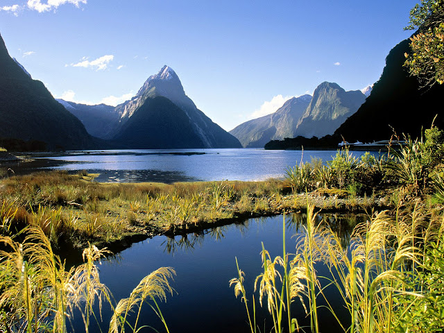 Naturaleza y Paisajes de Nueva Zelanda