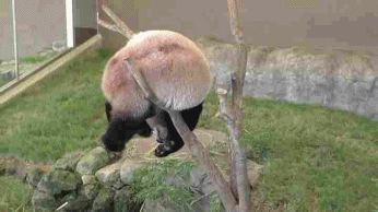 으아아아앍.gif | 인스티즈