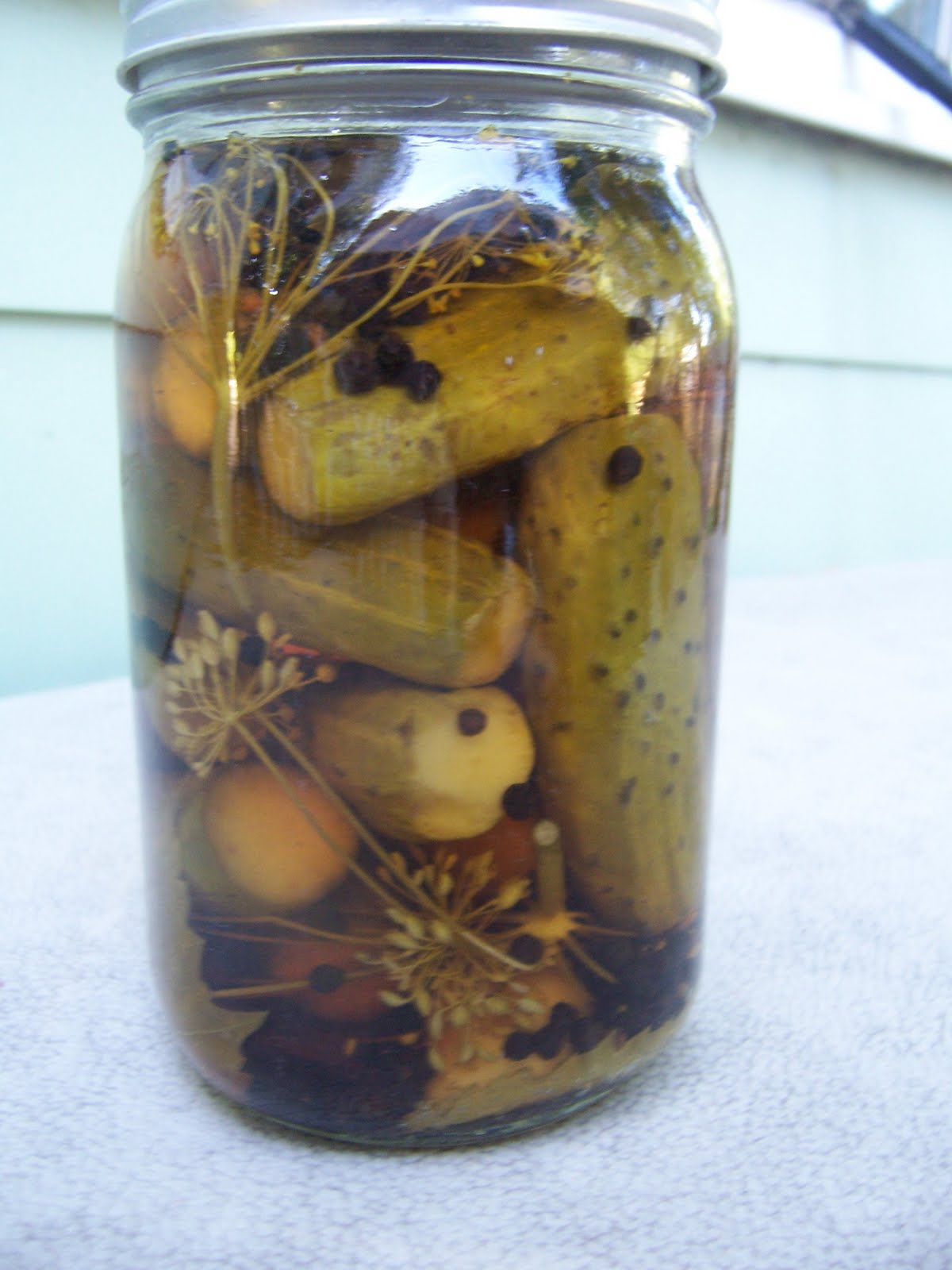 Newfound Traditions Pickles for Beginners